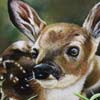 Spring Splendor - Fawn by Nicole Ruuska